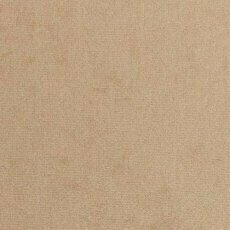 Bed Hortulus I (Mikrofaza 05)