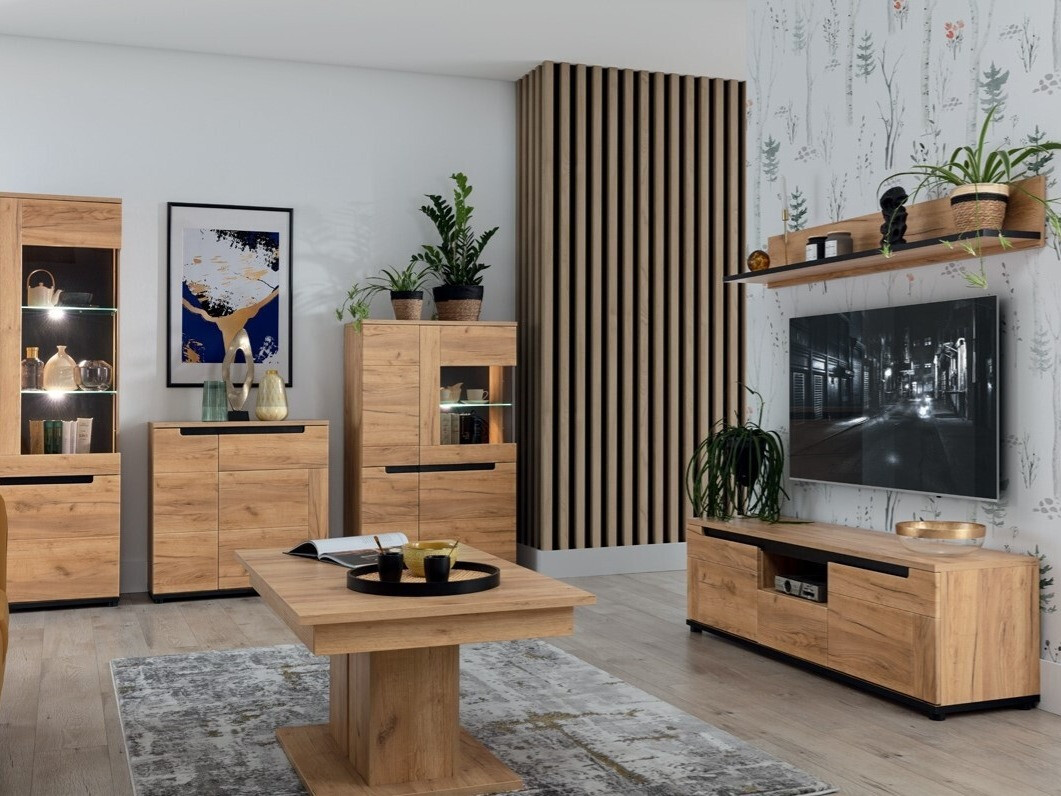 TV-meubel Remlevi 100