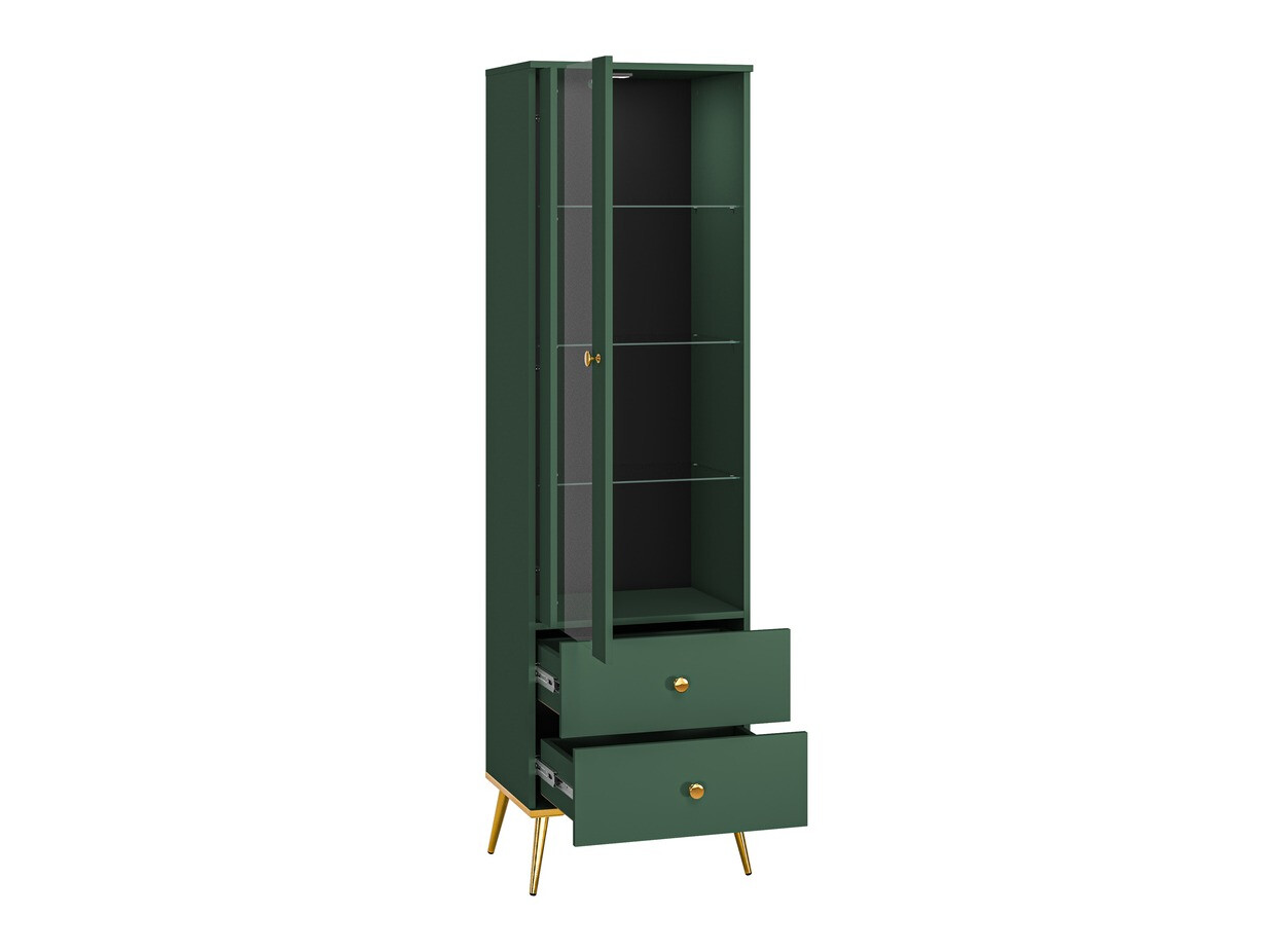 Boekenkast Flonovu 100 (Donkergroen + Gouden)