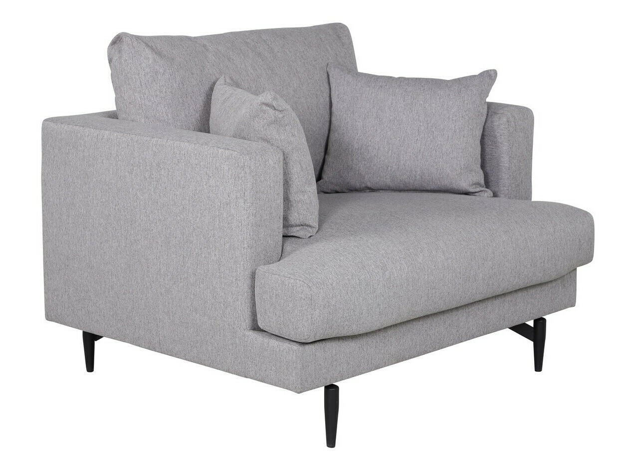 Fauteuil Dallas 1703 (Lichtgrijs + Zwart)
