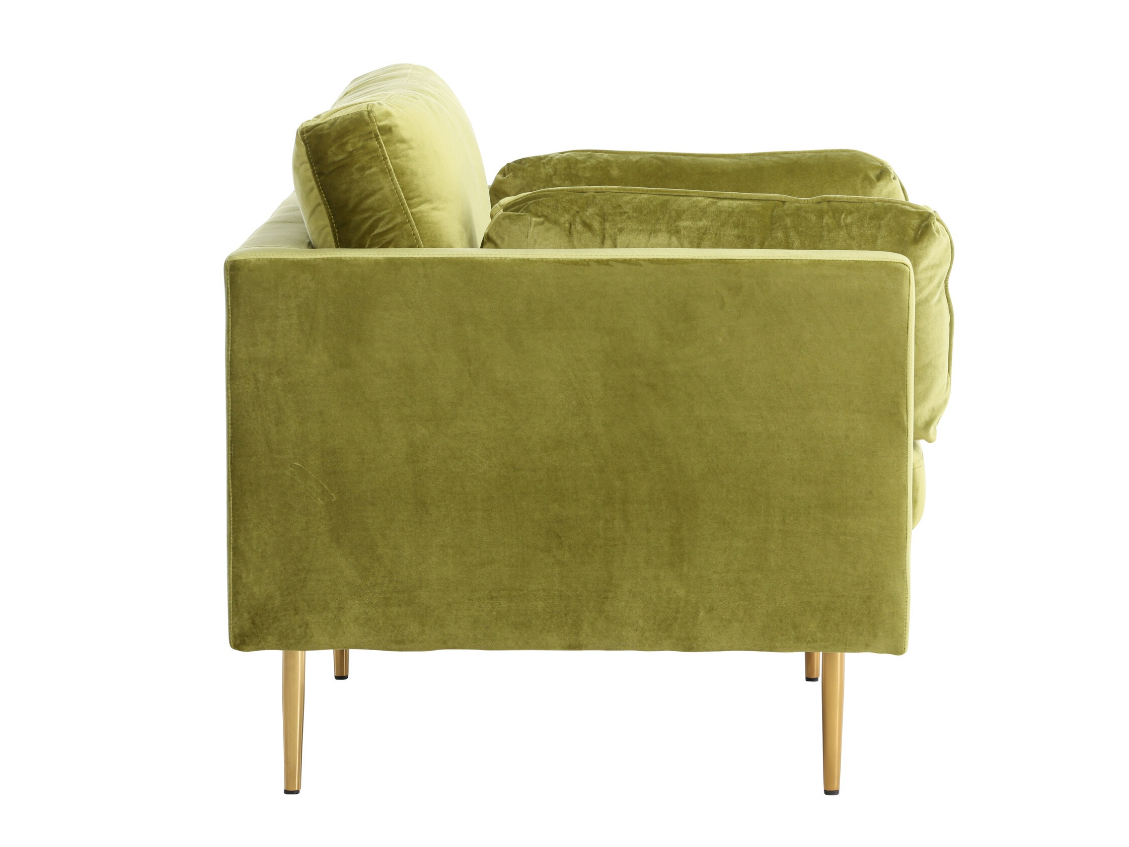 Fauteuil Dallas 100 (Groen + Bruin)