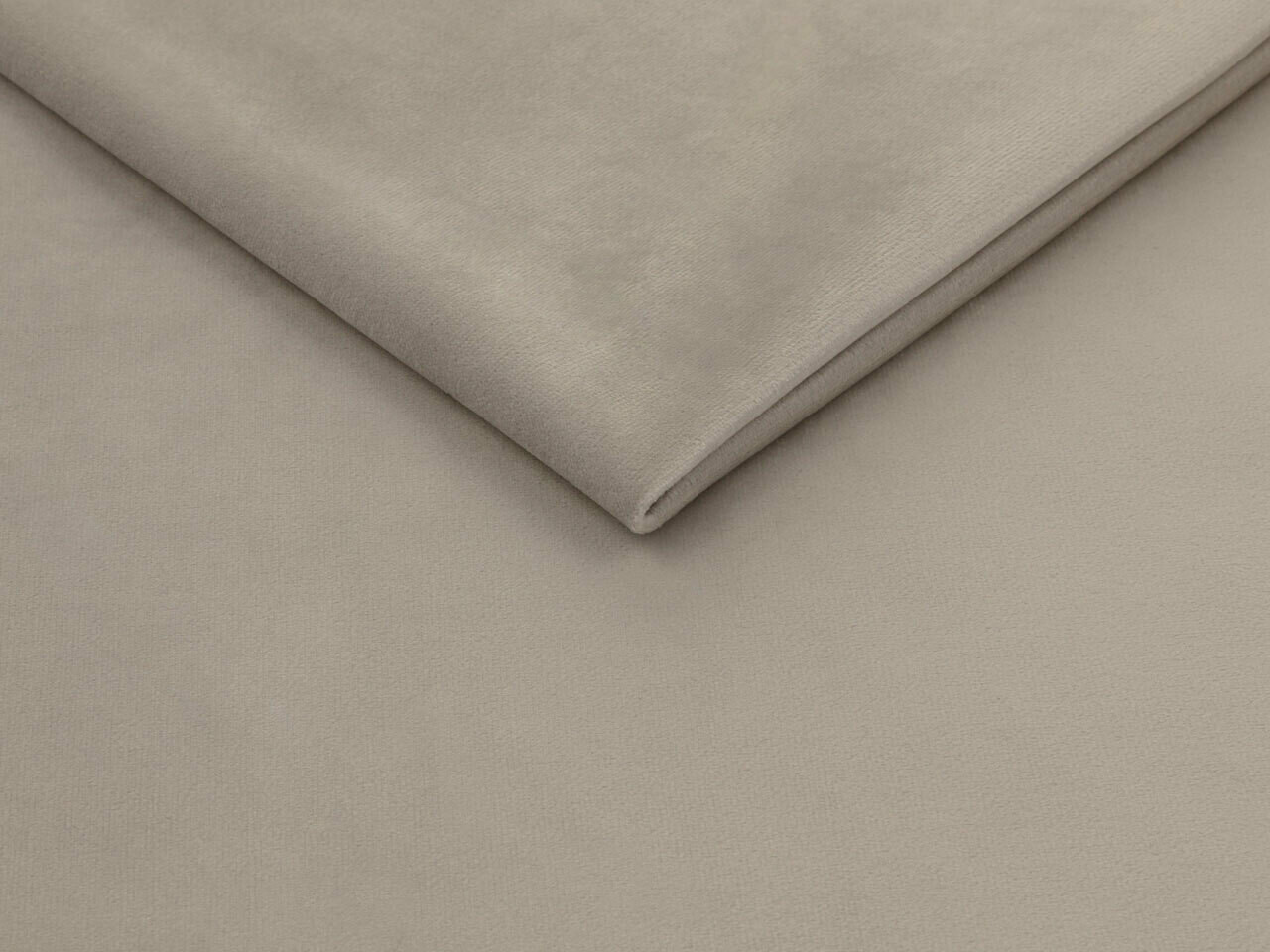 Bed Iris (Fresh 1)
