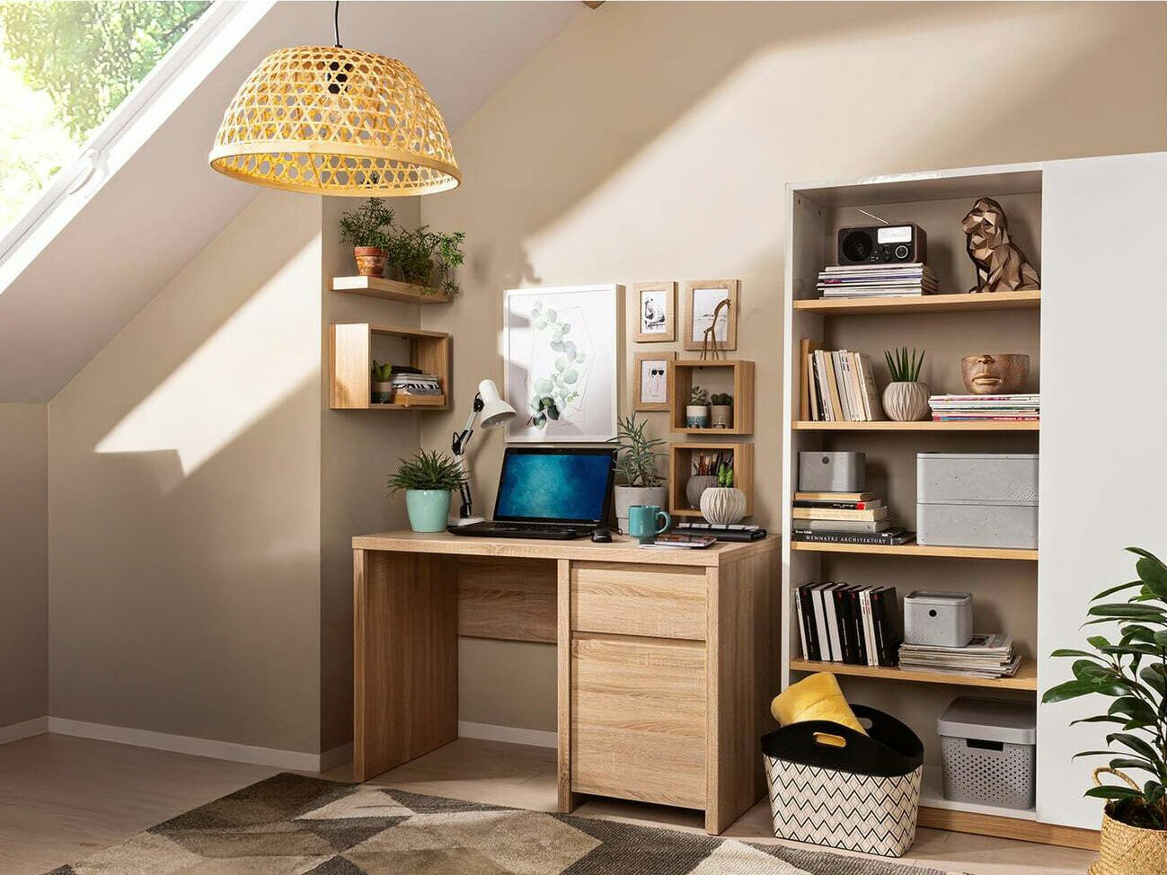 Bureau Nolroma 100 (Sonoma eik)