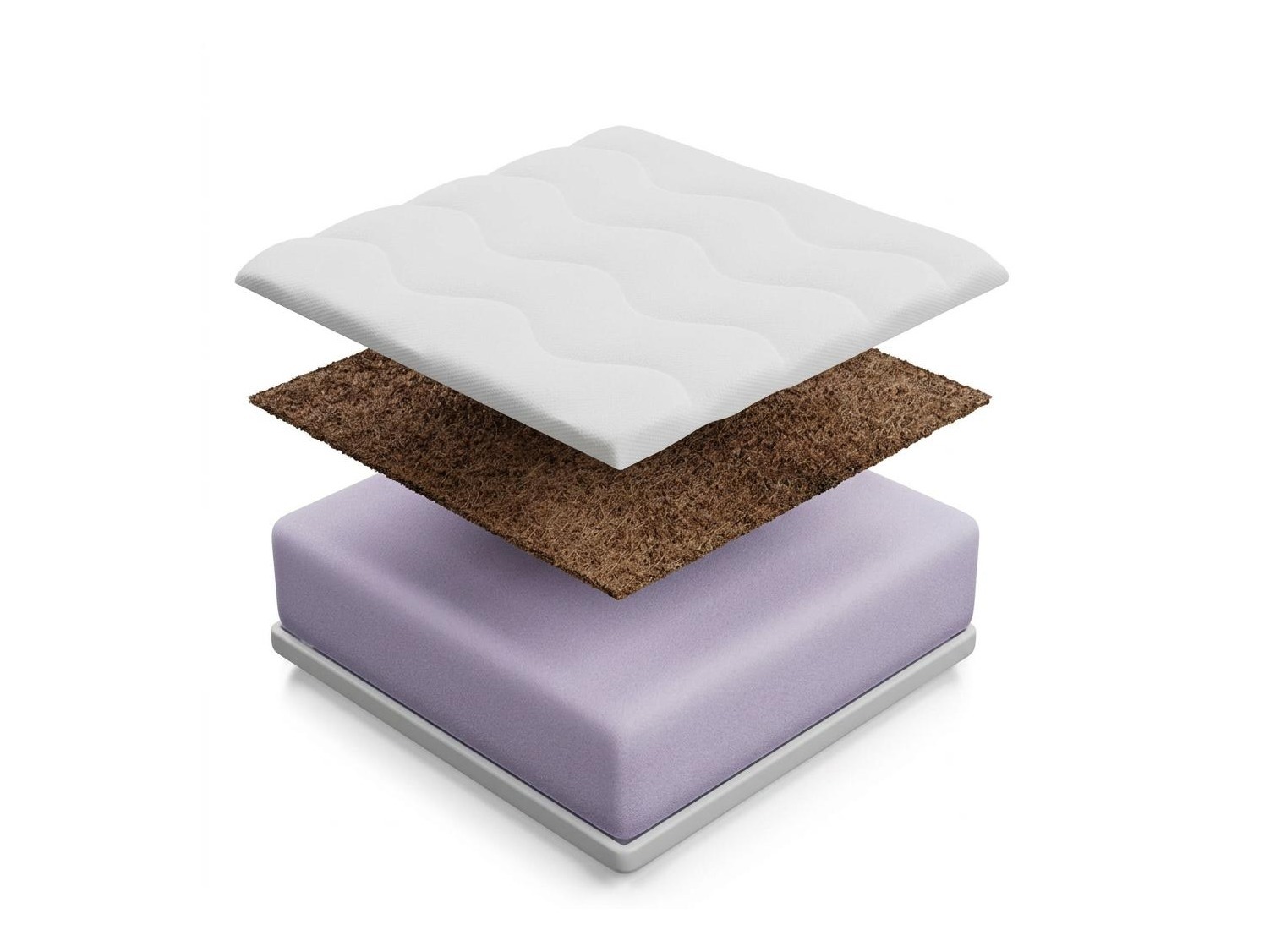 Matras Venusta